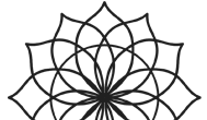 shape-113